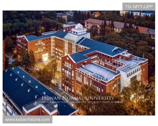 广州篮球队重塑辉煌之路的反击革新与未来展望